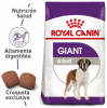 Giant Adult
